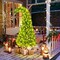 5ft Whimsical Christmas Tree with 150 LED Lights(Green)16"D x 16"W x 60"H